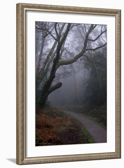 Woodland Scenery in England-David Baker-Framed Photographic Print