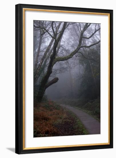 Woodland Scenery in England-David Baker-Framed Photographic Print