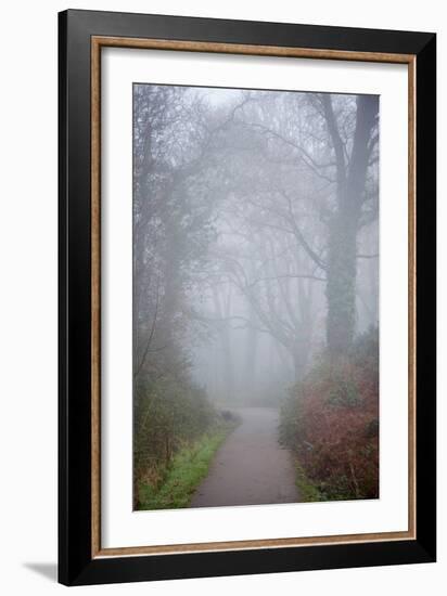 Woodland Scenery in England-David Baker-Framed Photographic Print