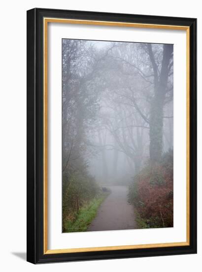 Woodland Scenery in England-David Baker-Framed Photographic Print