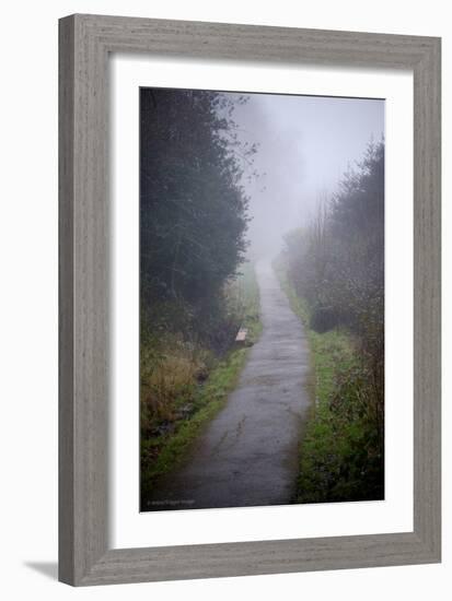 Woodland Scenery in England-David Baker-Framed Photographic Print