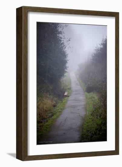 Woodland Scenery in England-David Baker-Framed Photographic Print