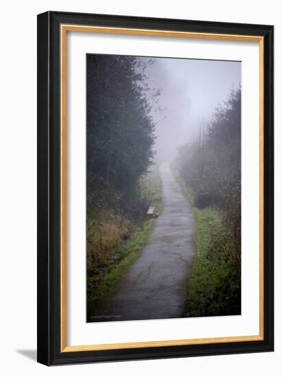 Woodland Scenery in England-David Baker-Framed Photographic Print