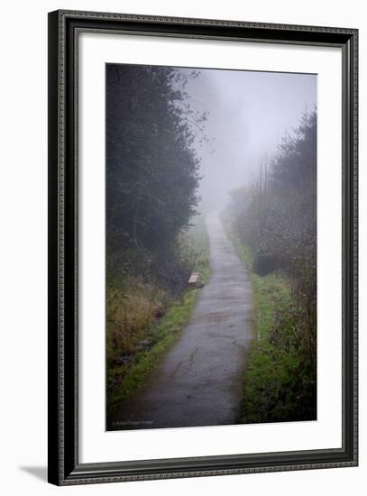 Woodland Scenery in England-David Baker-Framed Photographic Print