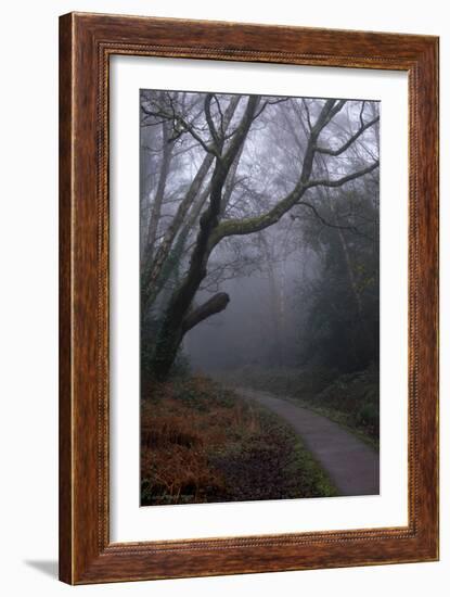 Woodland Scenery in England-David Baker-Framed Photographic Print