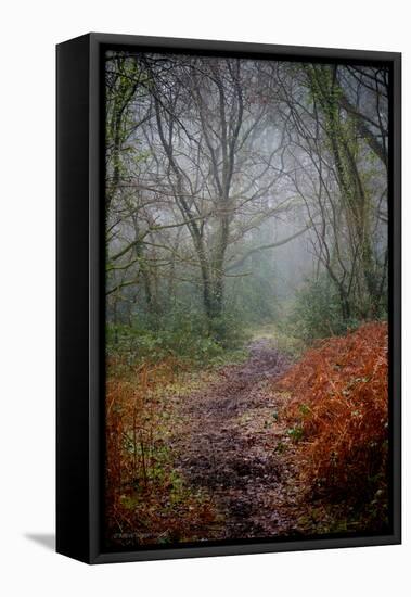 Woodland Scenery in England-David Baker-Framed Premier Image Canvas