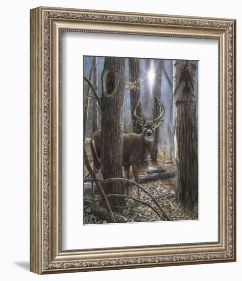 Woodland Sentry-Kevin Daniel-Framed Giclee Print