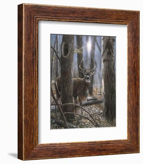 Woodland Sentry-Kevin Daniel-Framed Giclee Print