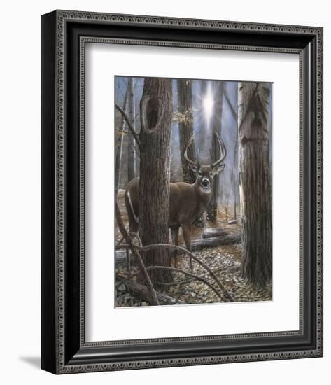 Woodland Sentry-Kevin Daniel-Framed Giclee Print