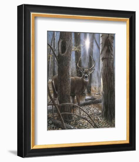 Woodland Sentry-Kevin Daniel-Framed Giclee Print