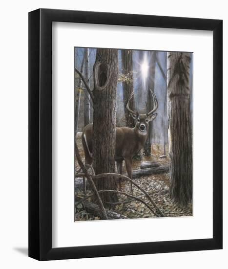 Woodland Sentry-Kevin Daniel-Framed Giclee Print