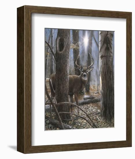 Woodland Sentry-Kevin Daniel-Framed Giclee Print