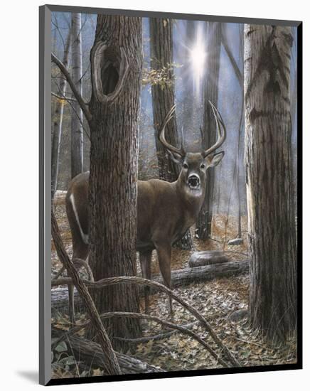 Woodland Sentry-Kevin Daniel-Mounted Giclee Print