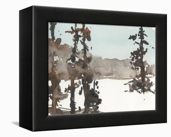 Woodland Sketch III-Samuel Dixon-Framed Stretched Canvas