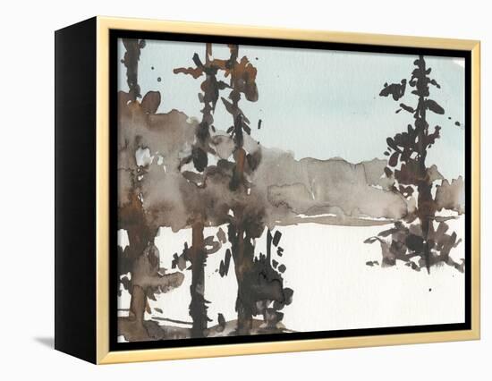 Woodland Sketch III-Samuel Dixon-Framed Stretched Canvas