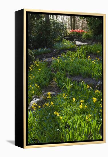 Woodland Spring Garden with Daffodils-Anna Miller-Framed Premier Image Canvas