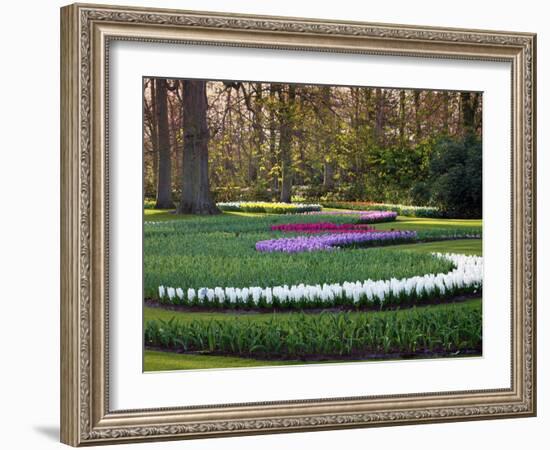 Woodland Spring Garden with Hyacinth-Anna Miller-Framed Photographic Print