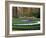 Woodland Spring Garden with Hyacinth-Anna Miller-Framed Photographic Print