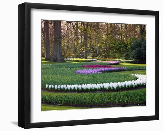 Woodland Spring Garden with Hyacinth-Anna Miller-Framed Photographic Print