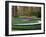 Woodland Spring Garden with Hyacinth-Anna Miller-Framed Photographic Print