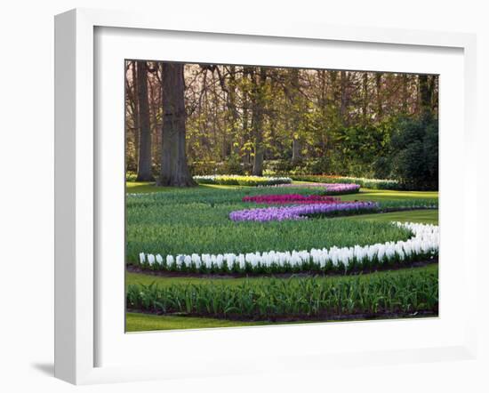 Woodland Spring Garden with Hyacinth-Anna Miller-Framed Photographic Print