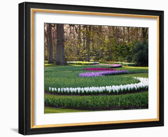 Woodland Spring Garden with Hyacinth-Anna Miller-Framed Photographic Print