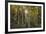 Woodland Sunburst-Michael Greene-Framed Giclee Print