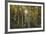 Woodland Sunburst-Michael Greene-Framed Giclee Print