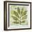 Woodland Thoughts II-Mo Mullan-Framed Art Print