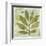 Woodland Thoughts II-Mo Mullan-Framed Art Print