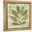 Woodland Thoughts II-Mo Mullan-Framed Stretched Canvas