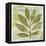 Woodland Thoughts II-Mo Mullan-Framed Stretched Canvas