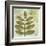 Woodland Thoughts IV-Mo Mullan-Framed Art Print