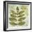 Woodland Thoughts IV-Mo Mullan-Framed Art Print