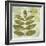 Woodland Thoughts IV-Mo Mullan-Framed Art Print