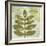 Woodland Thoughts IV-Mo Mullan-Framed Art Print