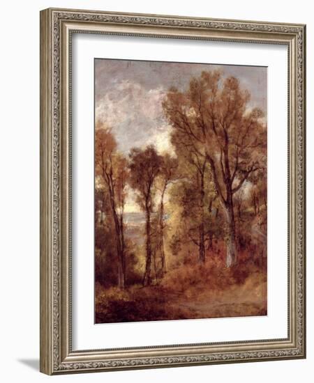 Woodland View in Suffolk-John Constable-Framed Giclee Print