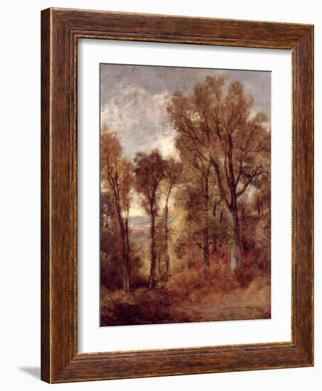 Woodland View in Suffolk-John Constable-Framed Giclee Print