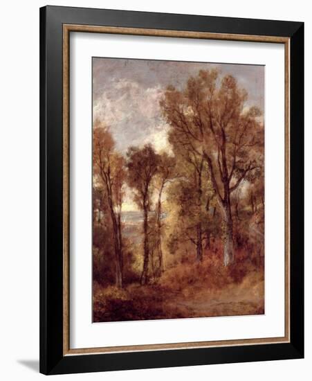 Woodland View in Suffolk-John Constable-Framed Giclee Print