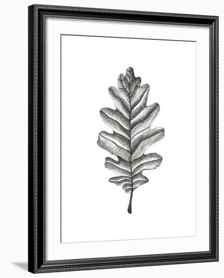 Woodland Walk - Oak-Lucy Francis-Framed Giclee Print