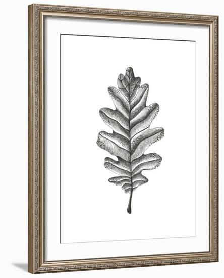 Woodland Walk - Oak-Lucy Francis-Framed Giclee Print