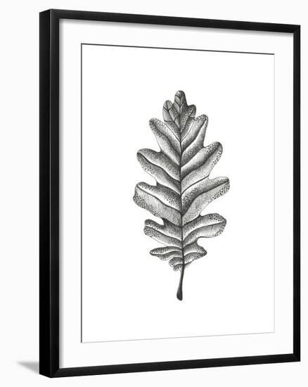 Woodland Walk - Oak-Lucy Francis-Framed Giclee Print