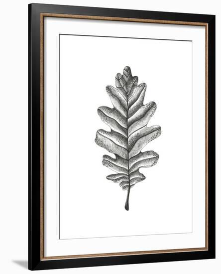 Woodland Walk - Oak-Lucy Francis-Framed Giclee Print