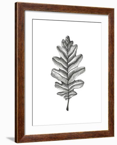 Woodland Walk - Oak-Lucy Francis-Framed Giclee Print