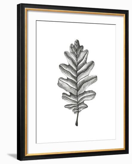 Woodland Walk - Oak-Lucy Francis-Framed Giclee Print