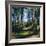 Woodland Walk, Sherwood Forest, Edwinstowe, Nottinghamshire, England-L Bond-Framed Photographic Print