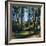 Woodland Walk, Sherwood Forest, Edwinstowe, Nottinghamshire, England-L Bond-Framed Photographic Print