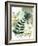 Woodland Walk V-Laura Horn-Framed Art Print