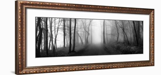 Woodland Walk-Erin Clark-Framed Art Print