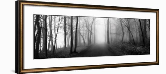 Woodland Walk-Erin Clark-Framed Art Print